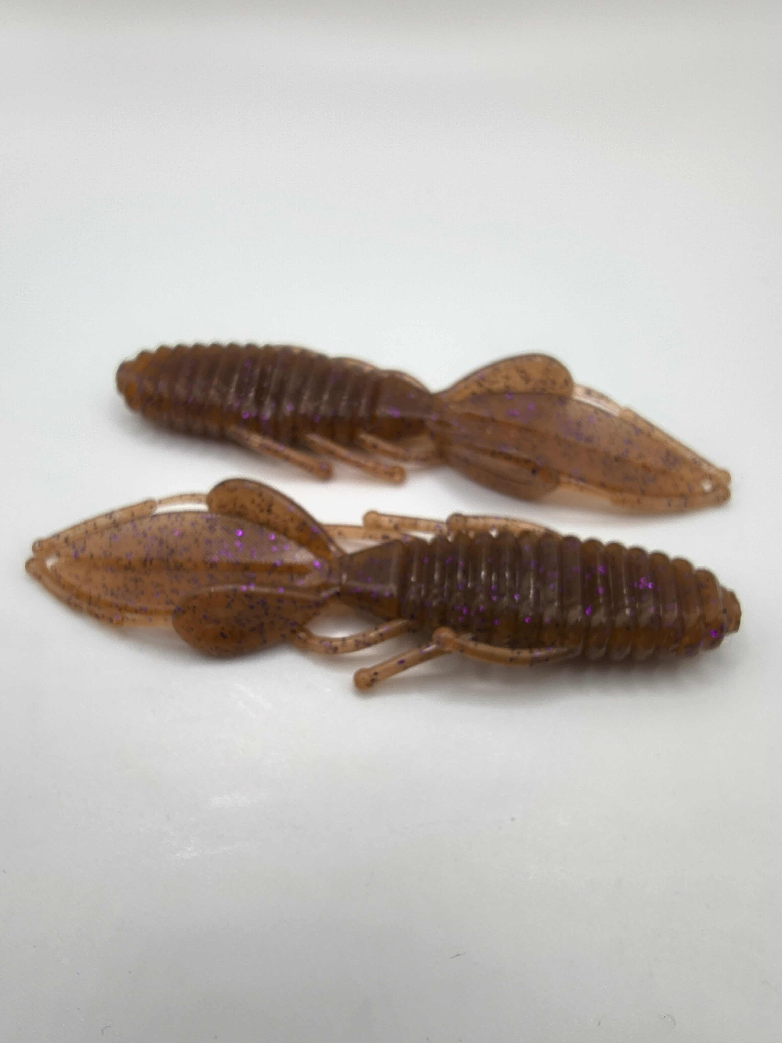 4" BEETLE BUG